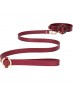 OUCH HALO COLLAR WITH LEASH BURDEOS