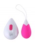 DREAM TOYS ALL TIME FAVORITES 10F REMOTE EGG